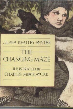 The Changing Maze