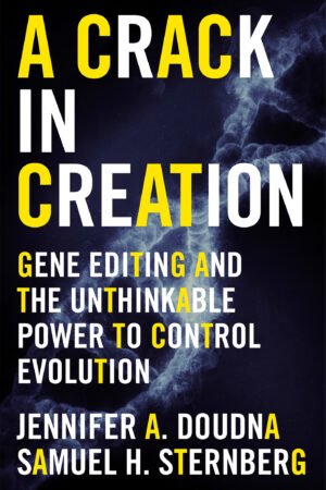crack in creations