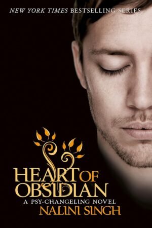 Heart of Obsidian