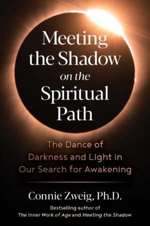 Meeting the Shadow: The Hidden Power of the Dark Side of Human Nature