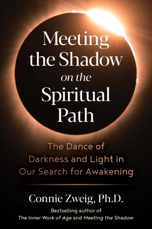 Meeting the Shadow The Hidden Power of the Dark Side of Human Nature