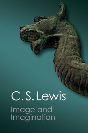Image and Imagination: Essays and Reviews