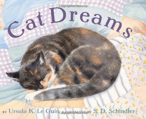 Cat Dreams Cat Dreams