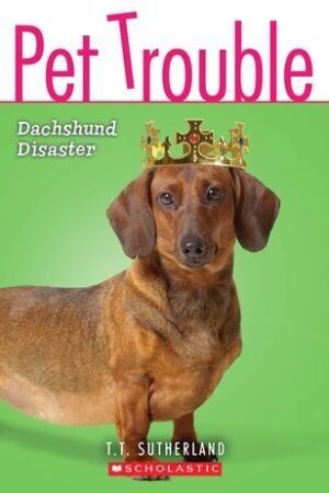 Dachshund Disaster