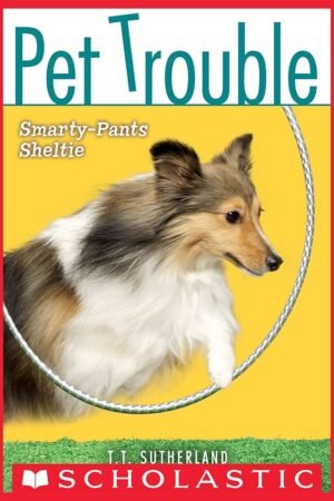 Smarty-Pants Sheltie