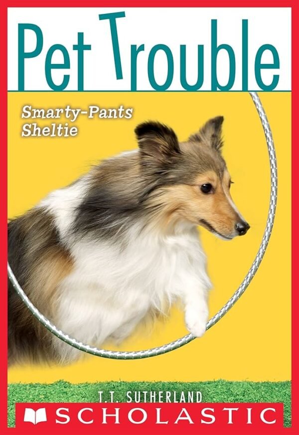 Smarty-Pants Sheltie