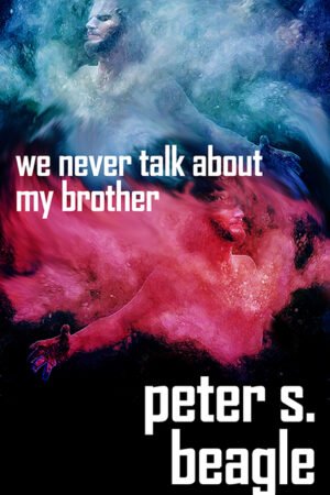 We Never Talk about My Brother