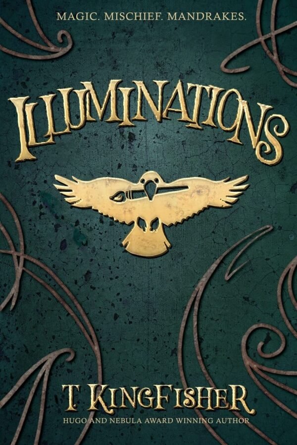 Illuminations Illuminations