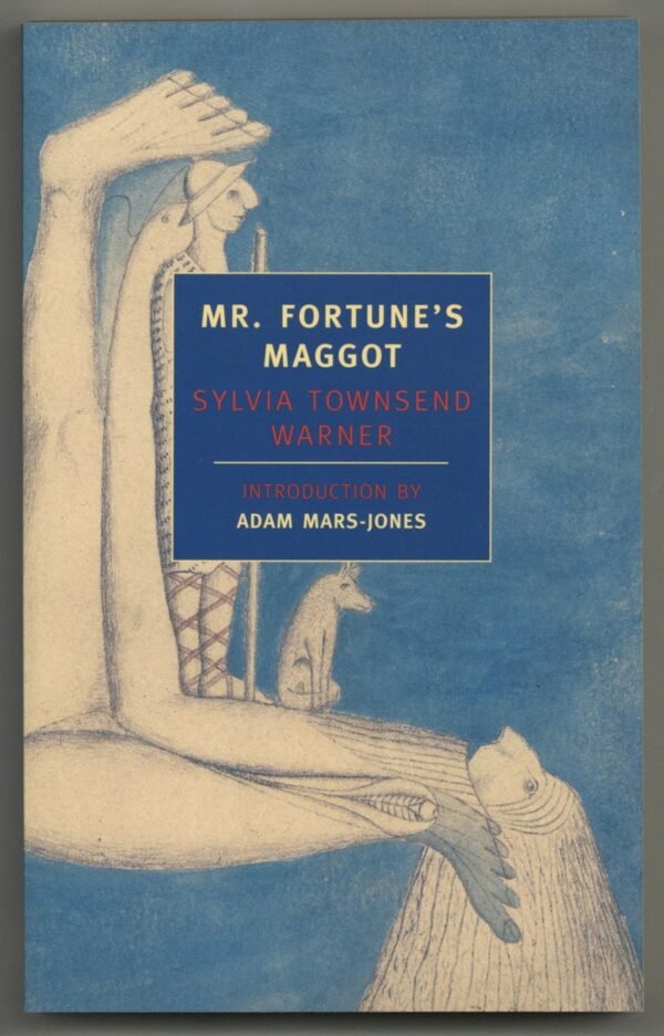 Mr. Fortune’s Maggot The Salutation