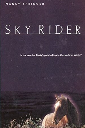 Sky Rider