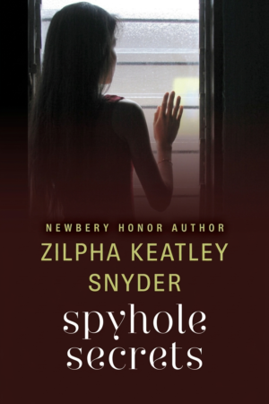 Spyhole Secrets