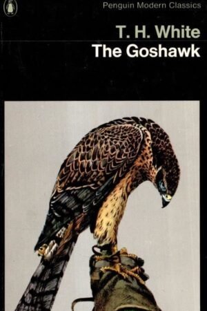 The Goshawk