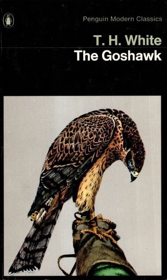 The Goshawk The Goshawk