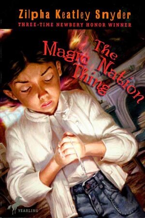 The Magic Nation Thing