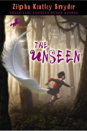 The Unseen