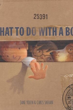 What To Do With a Box