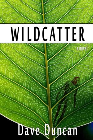 Wildcatter