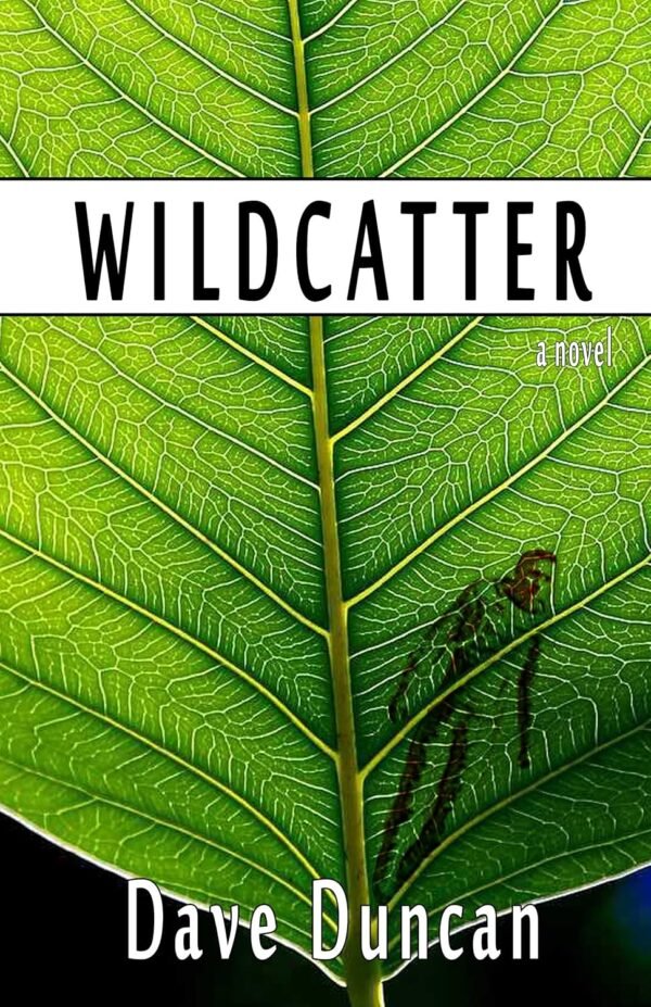 Wildcatter Wildcatter